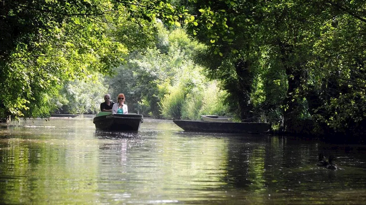 Un guide pratique pour découvrirtoutes les facettes du Marais poitevin