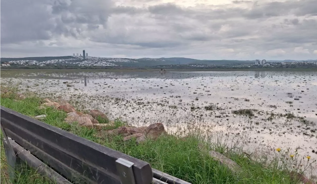 León mide constantemente nivel de agua en la Presa del Palote para prevenir inundaciones