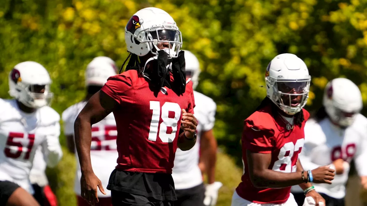 Arizona Cardinals WR Projects as Fantasy Football Superstar