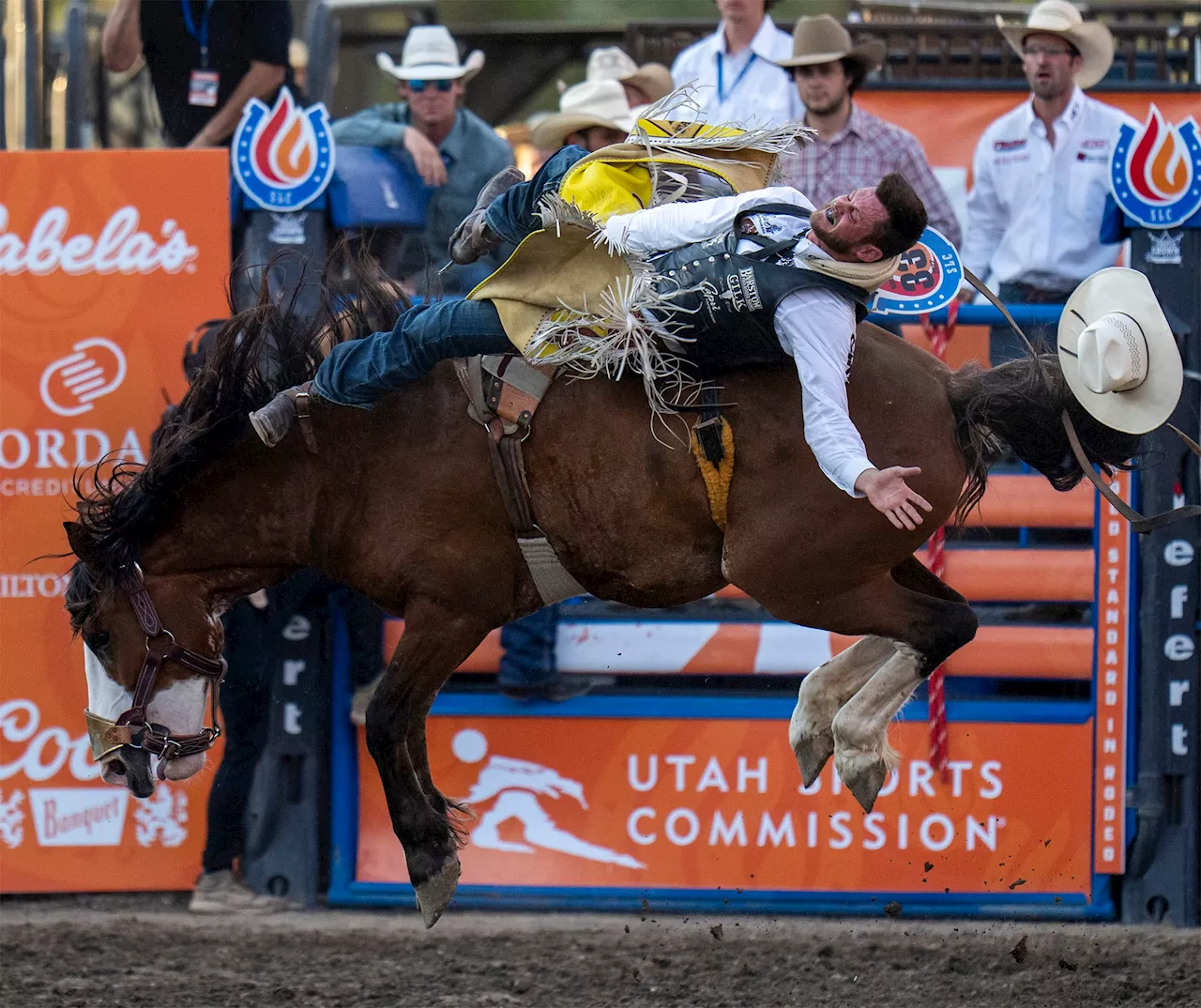 Opinion: Utah rodeos are a tradition of cruelty disguised as entertainment