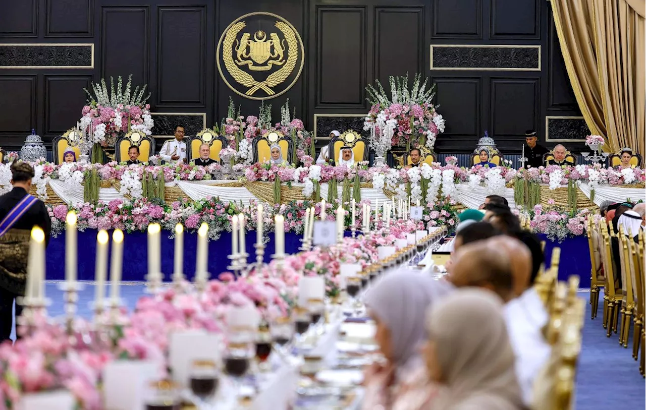 Video of Sultan Ibrahim's life among highlights at royal banquet