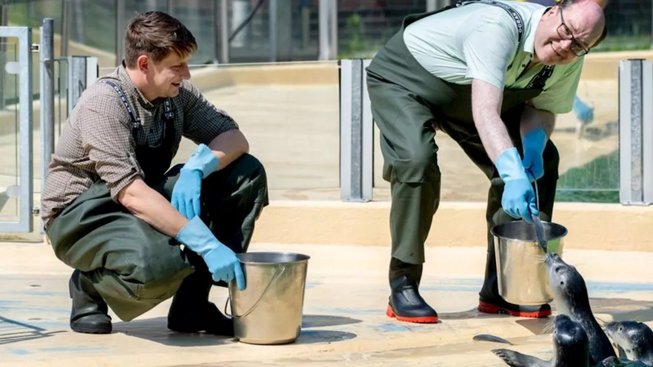 Tierschutz: Umweltminister Meyer besucht Seehundstation