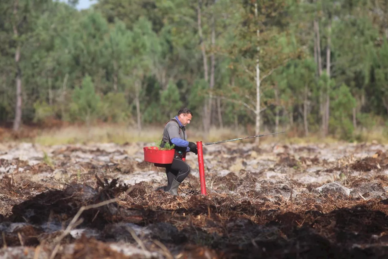 Projet de forages d’eau dans le Médoc : l’expert québécois valide les études mises en avant par Bordeaux Métropole