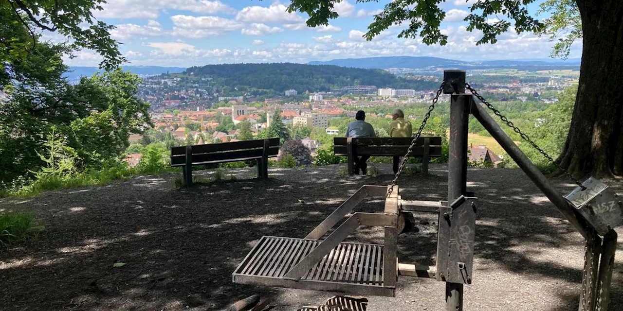 Die fünf schönsten Grillstellen der Stadt Zürich