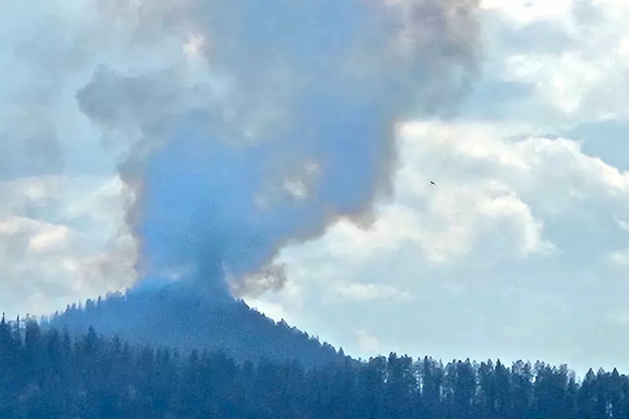 Evacuation alert issued as North Okanagan wildfire grows