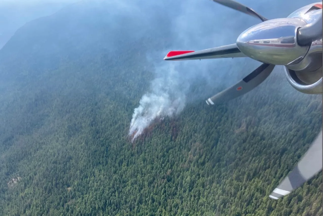 Wildfire in Seymour Arm under control, while Sicamous blazes continue to burn