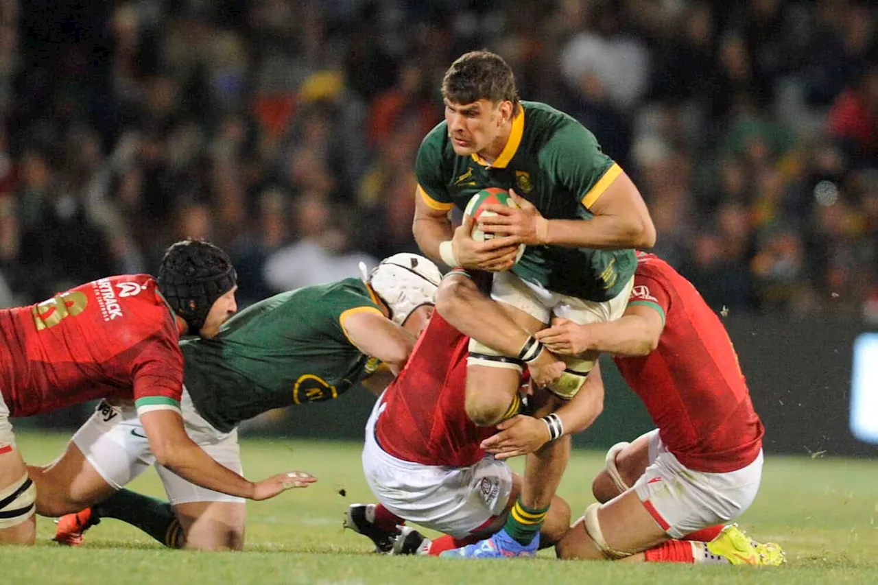 Springbok newbies give Rassie a selection headache after Portuguese mauling