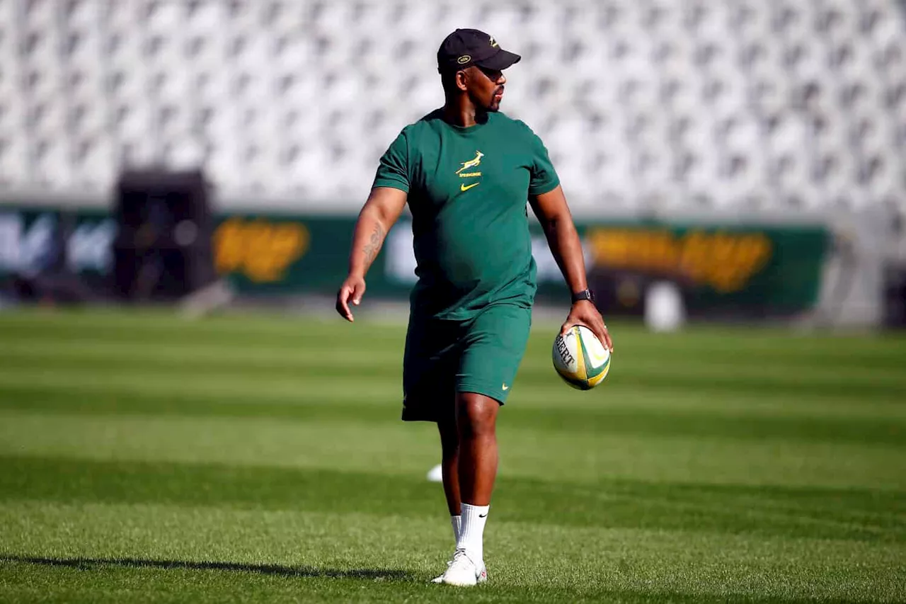 Springboks project 2027 under way against Portugal — Stick