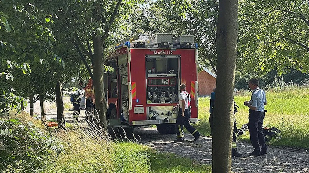 To personer kørt på sygehuset efter kontakt med insektgift
