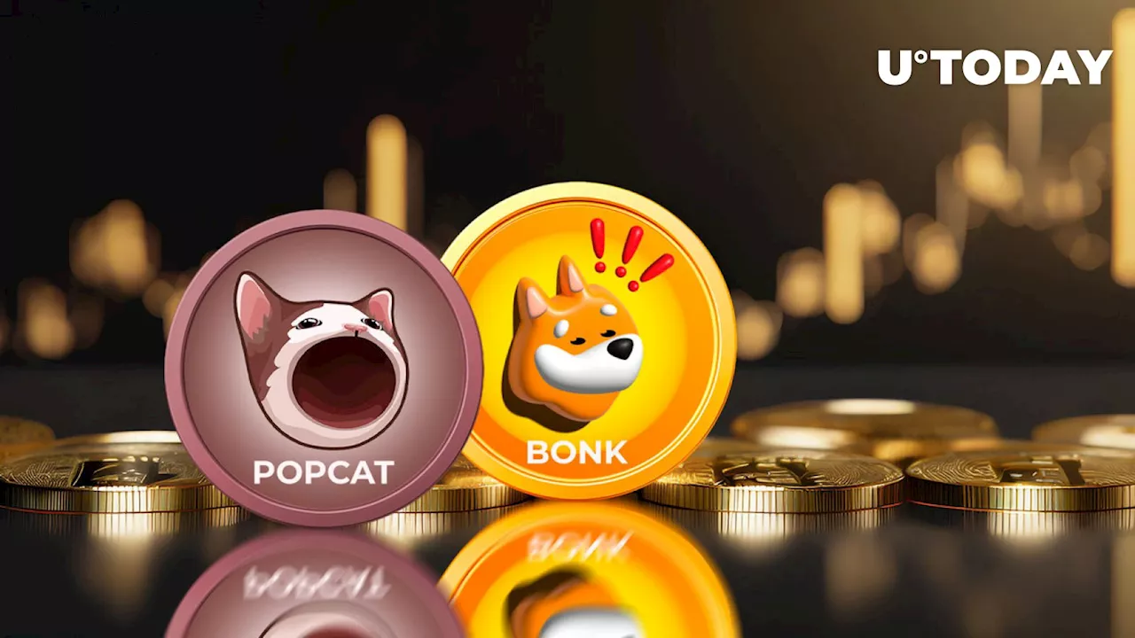 Meme Coins POPCAT, BONK on Fire With Double-Digit Gains Overnight