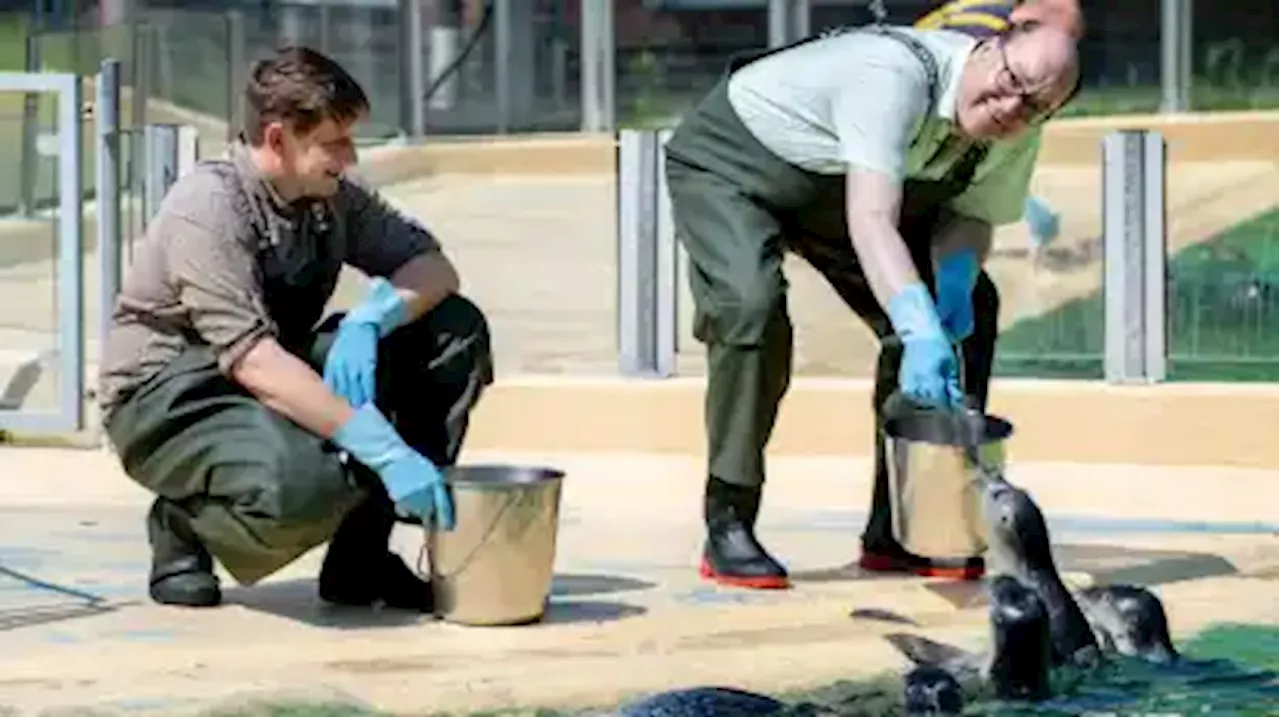 Umweltminister Meyer besucht Seehundstation