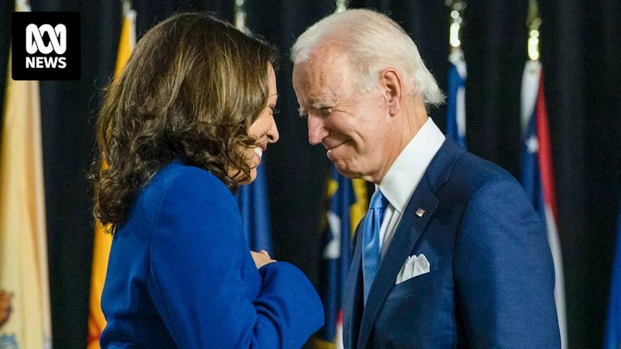 How do the Democrats replace Joe Biden as their presidential candidate in the US election?