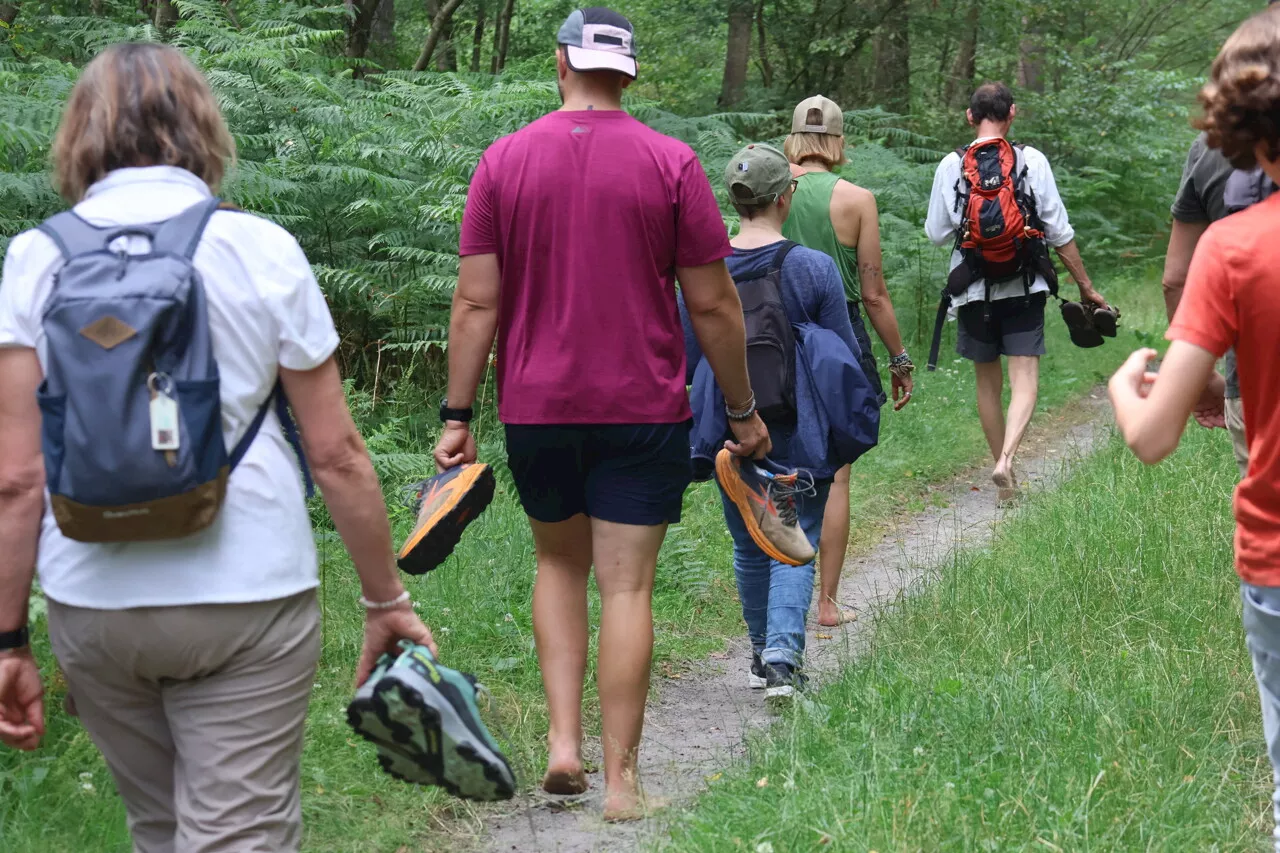 C'est quoi un bain de forêt ? On a testé pour vous en forêt de Compiègne