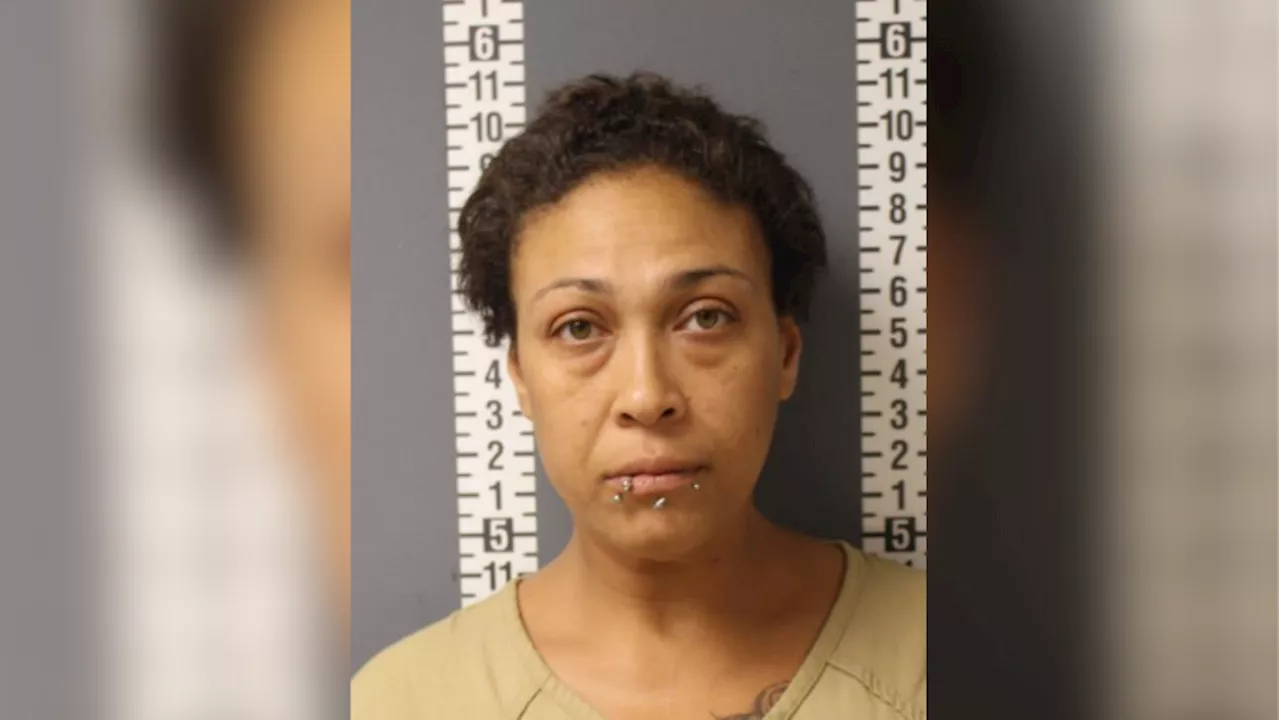 'Covered in blood': Harrisburg woman stabbed boyfriend in face, police say