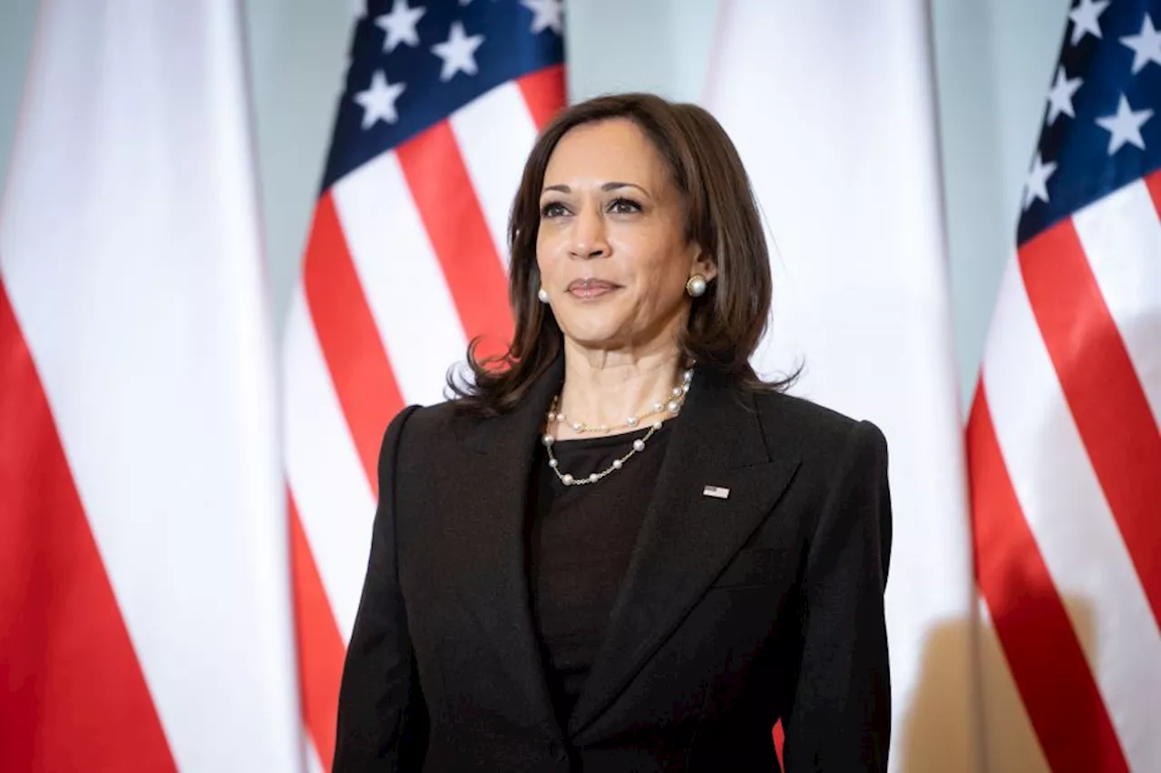 Kamala Harris pode ser 1ª mulher negra e asiático-americana a liderar chapa; entenda