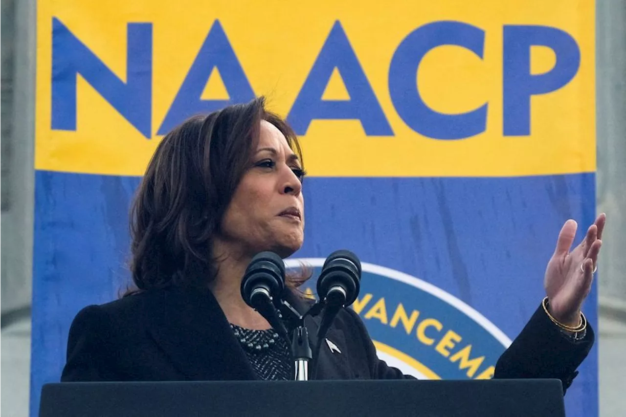 Veja quem são os possíveis candidatos a vice-presidente na chapa de Kamala Harris