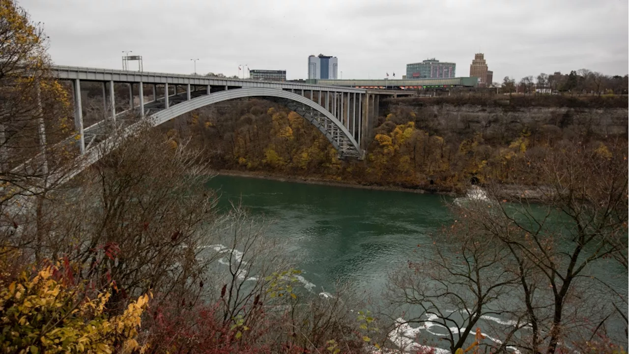 The pilot who died in crash after releasing skydivers near Niagara Falls has been identified