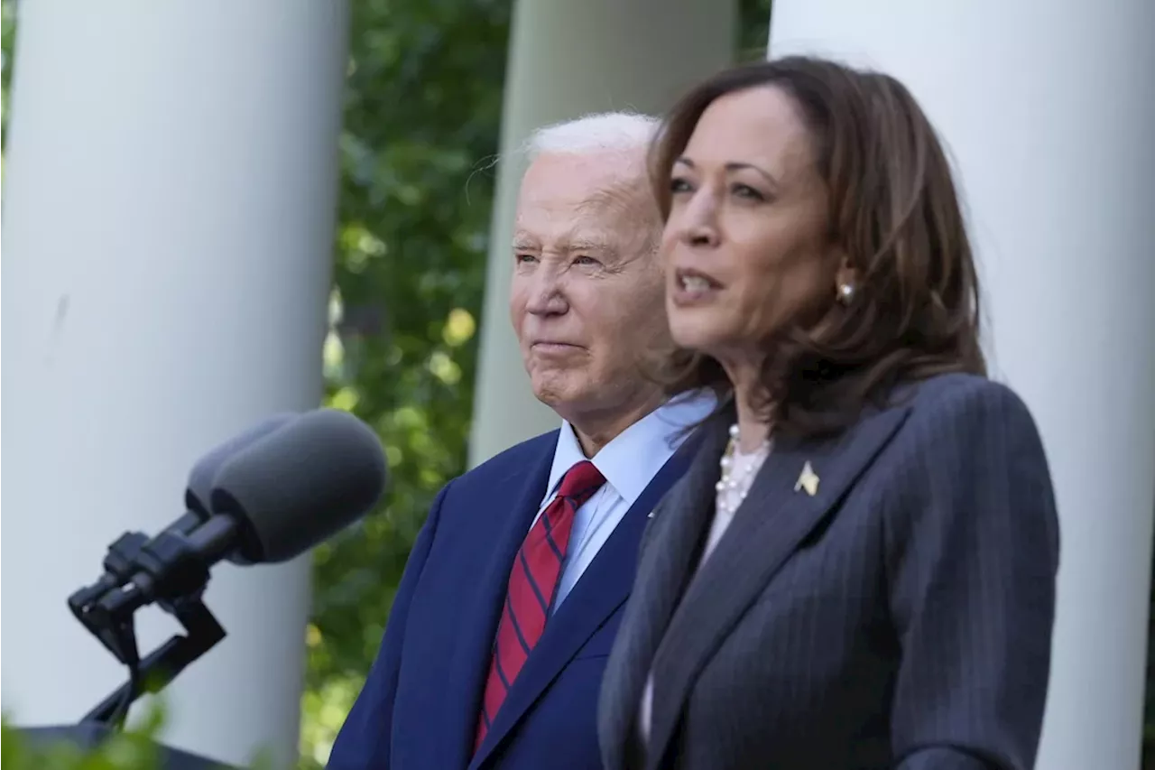 Kamala Harris intends to ‘earn and win’ Democratic nomination in first comments after Biden withdrawal