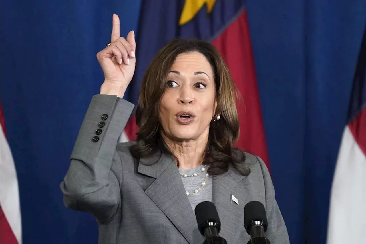 Shadow campaign effort for Kamala Harris emerges as calls for a Biden exit intensify