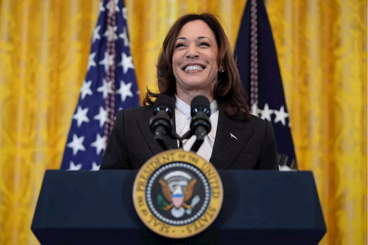 Kamala Harris, endorsed by Joe Biden, could become first woman, second black person to be president