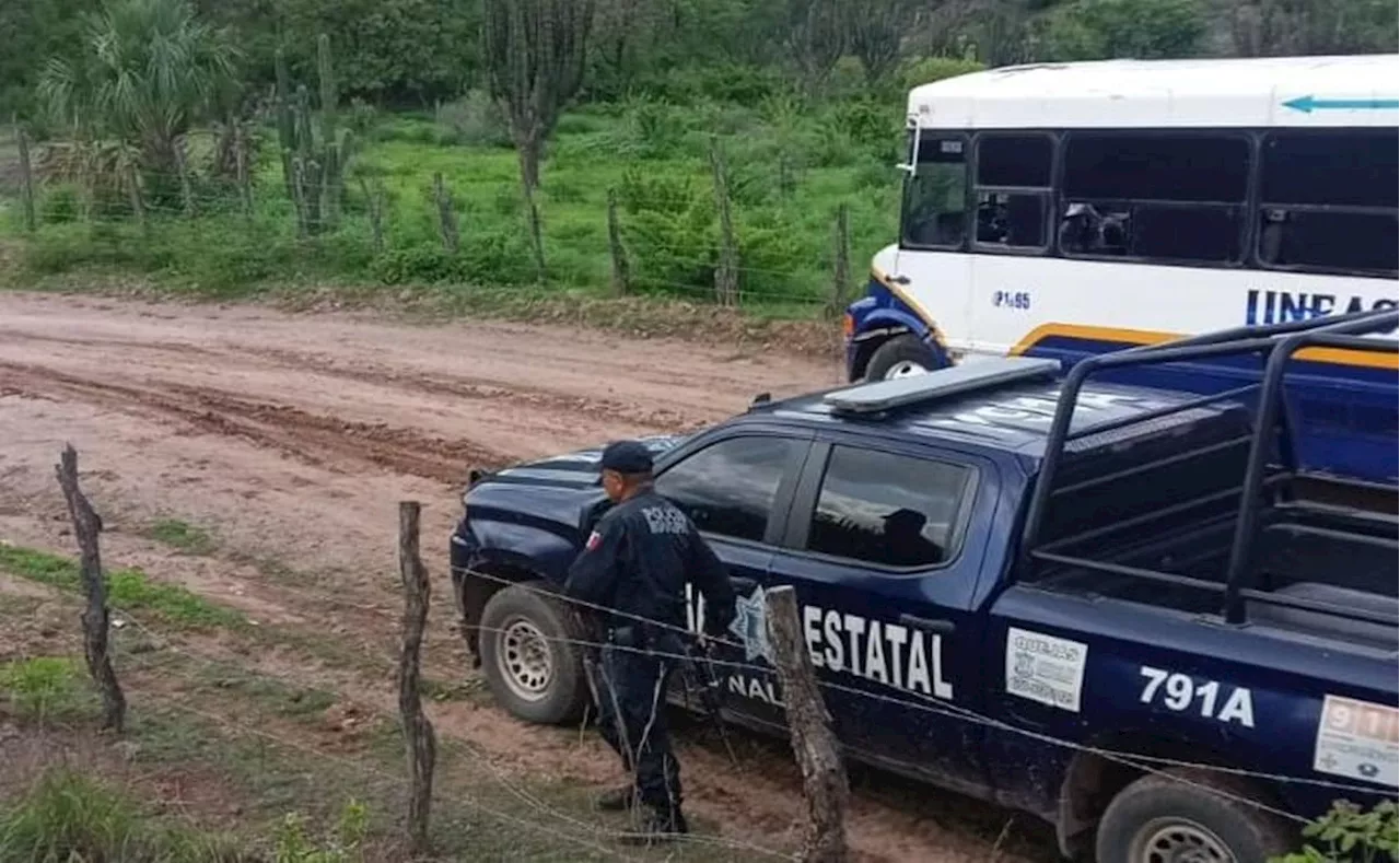 Localizan cuerpos de dos hombres tras enfrentamiento armado en Badiraguato, Sinaloa