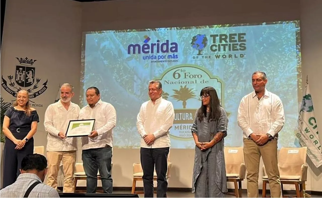 Tlalpan recibe por tercer año consecutivo reconocimiento como Ciudad Árbol del Mundo