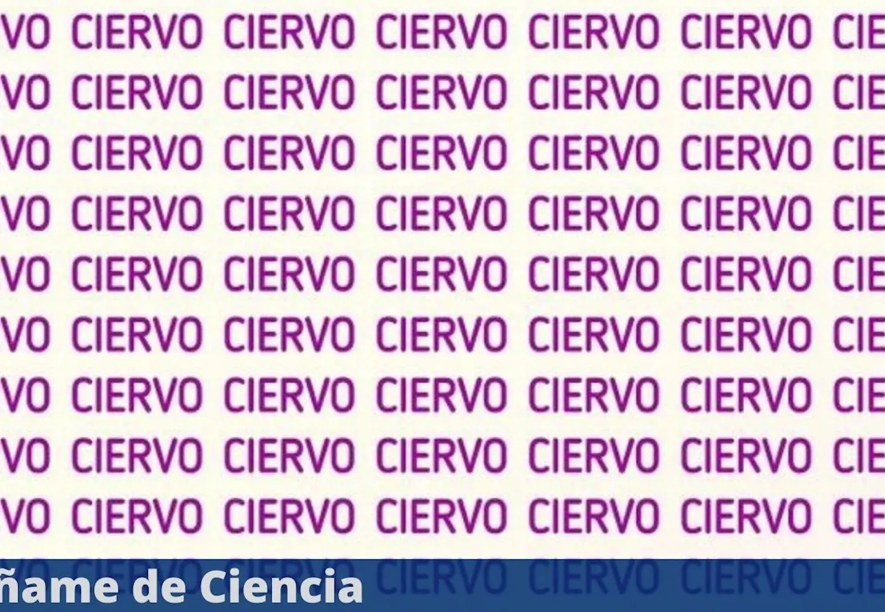 Acertijo visual FÁCIL de resolver: Tienes 10 segundos para encontrar la palabra DIFERENTE