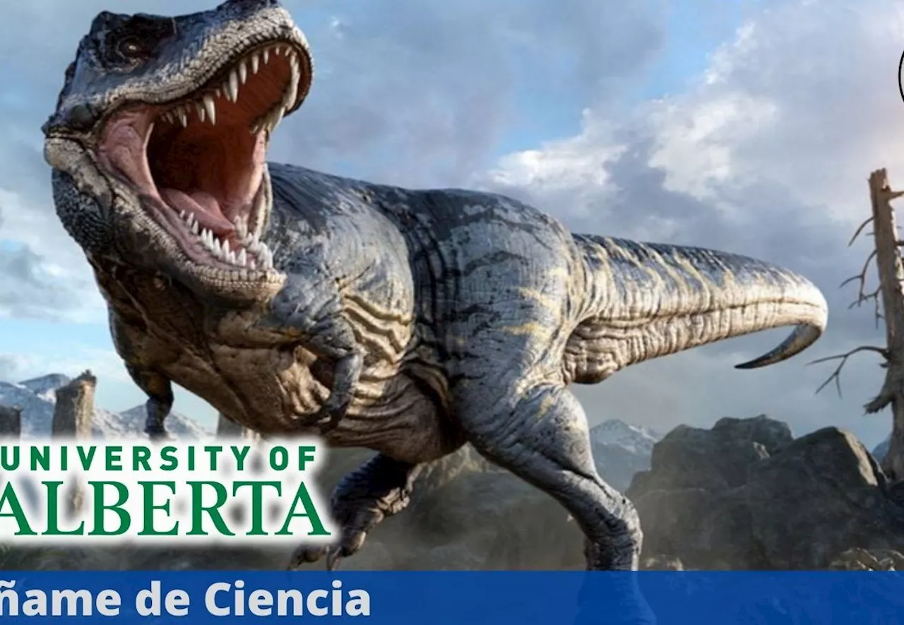 La Universidad de Alberta lanza curso sobre dinosaurios, en línea y completamente GRATUITO