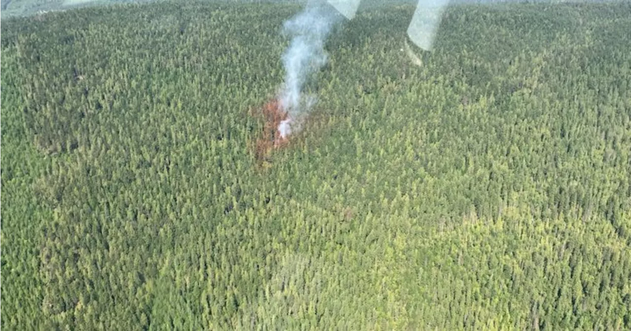 Lower Blueberry Creek blaze in Shuswap considered held: B.C. Wildfire