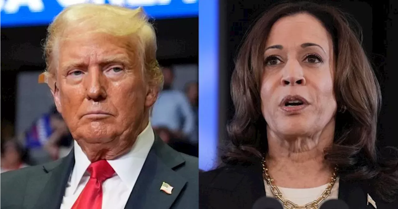 Donald Trump: Trump vs. Harris? Here’s what recent polls say about the ...