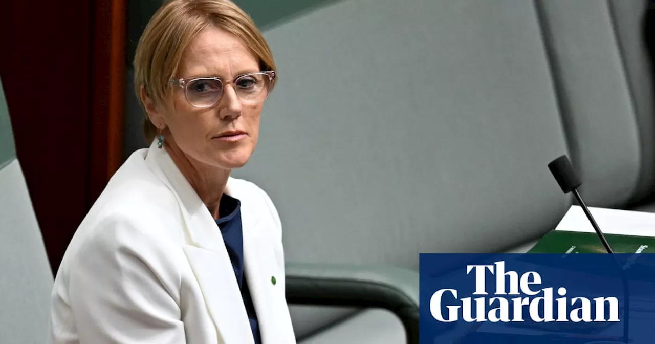 New watchdog needed to weed out ‘toxic elements’ in CFMEU, independent MP says