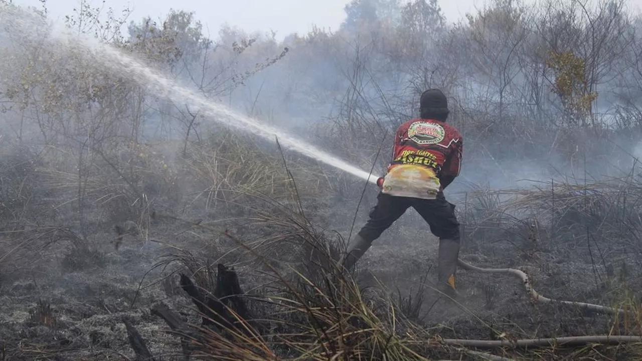 Kebakaran Lahan Mulai Ancam Kalteng, Pemprov Siapkan Anggaran Ratusan Miliar Rupiah