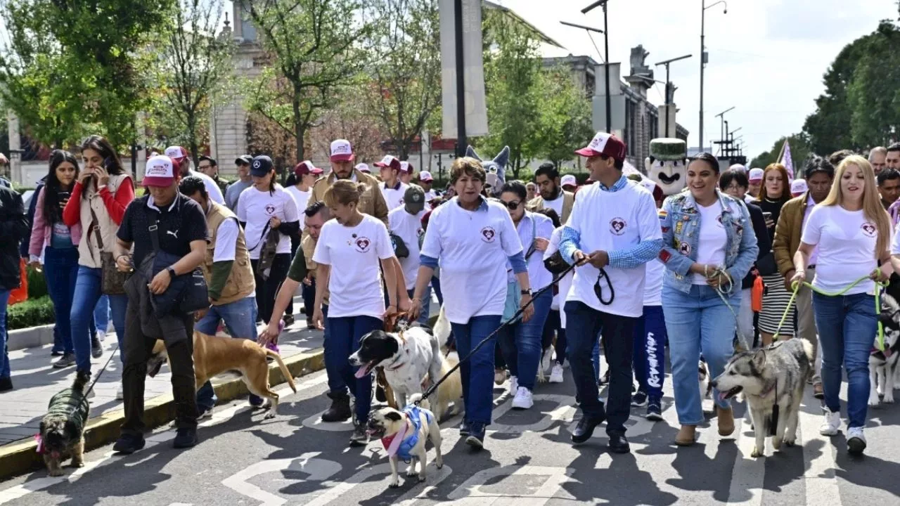 Delfina Gómez Álvarez promueve el bienestar animal con caminata y caravanas de atención a mascotas y animales en situación de calle