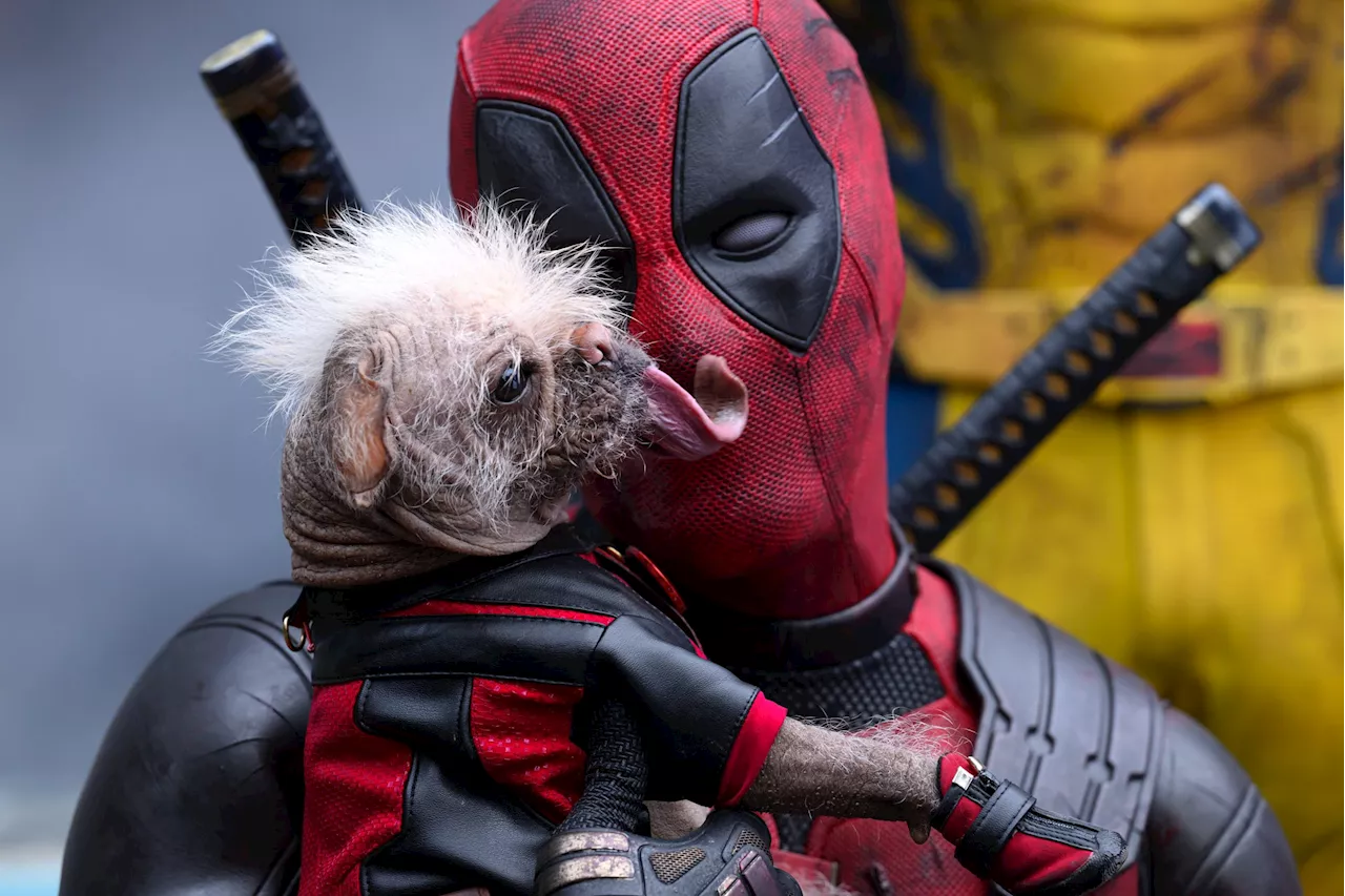 ¿Quién es Dogpool, el horroroso y divertido perro de ‘Deadpool y Lobezno’?