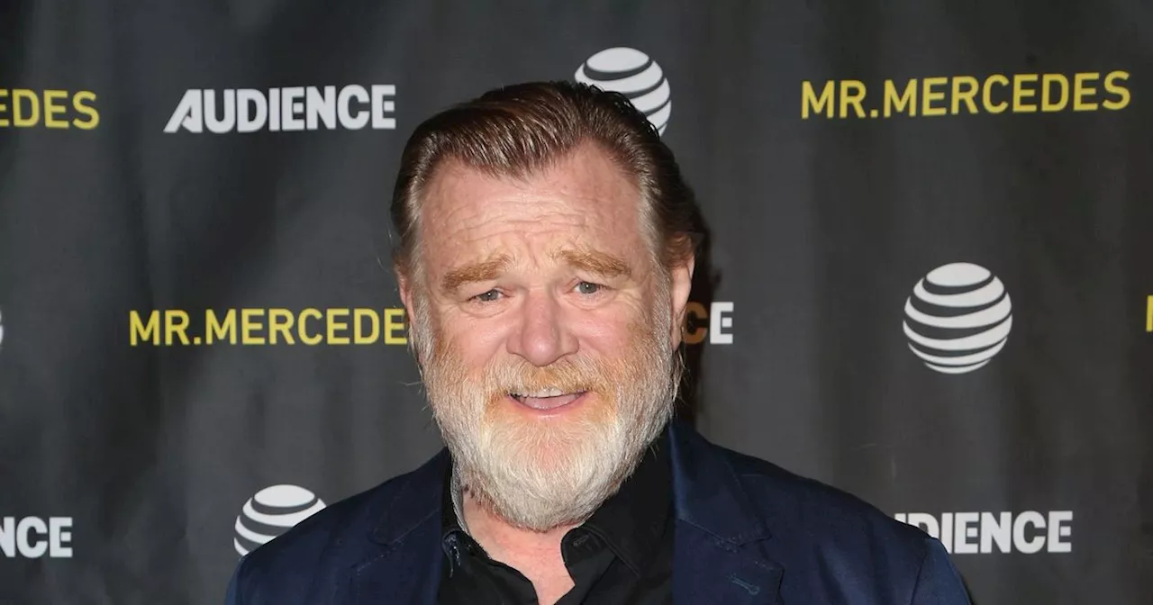 Brendan Gleeson recalls 'accidentally' punching a fella during a GAA match