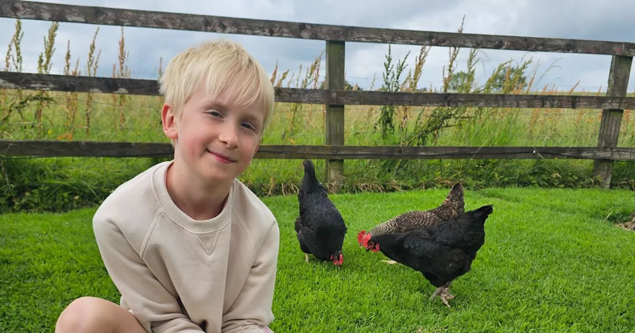 Young chicken enthusiast overjoyed as his hen lays 'Ireland's largest egg'