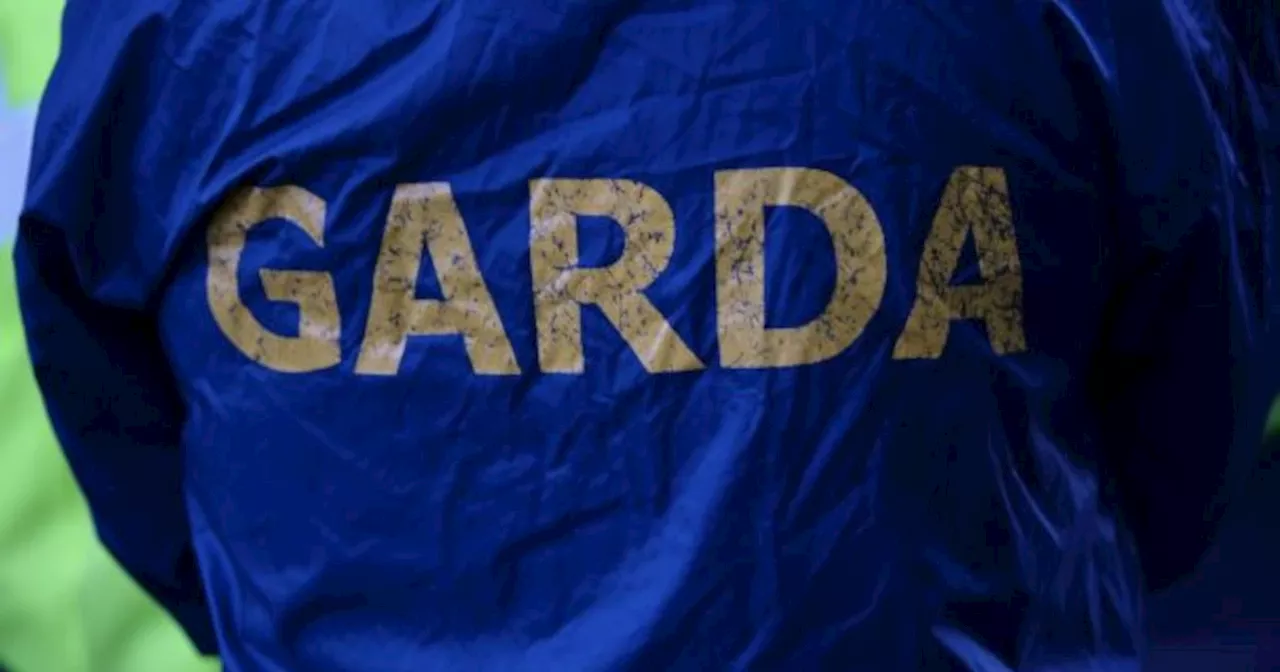 Weapons seized in Co Louth belong to main supplier of firearms to Irish gangs, gardaí believe