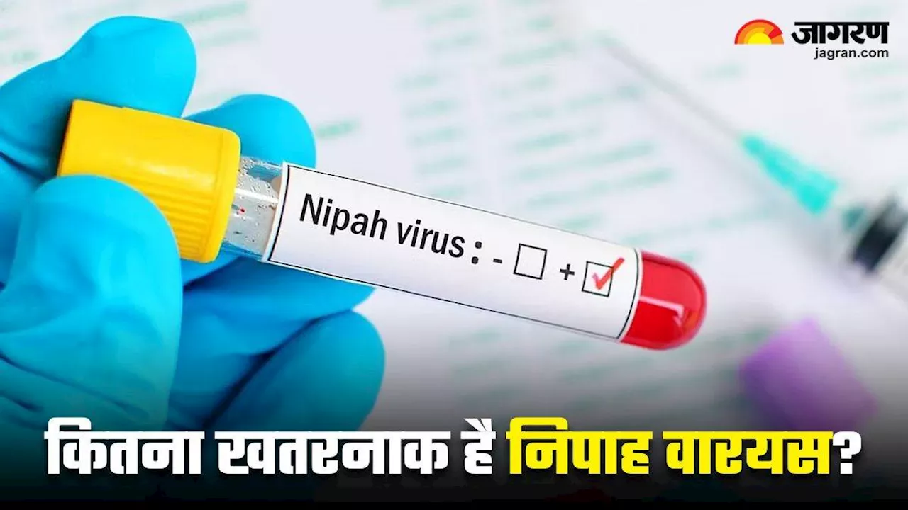 Nipah Virus: केरल में निपाह वायरस से पहली मौत के बाद हड़कंप! जानिए इसके कारण, लक्षण और बचाव के तरीके