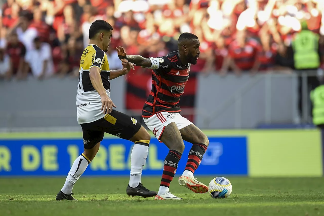 Tite detona gramado do Mané Garrincha, escolhido pela diretoria do Flamengo: 'Risco do joelho de um atleta estourar'