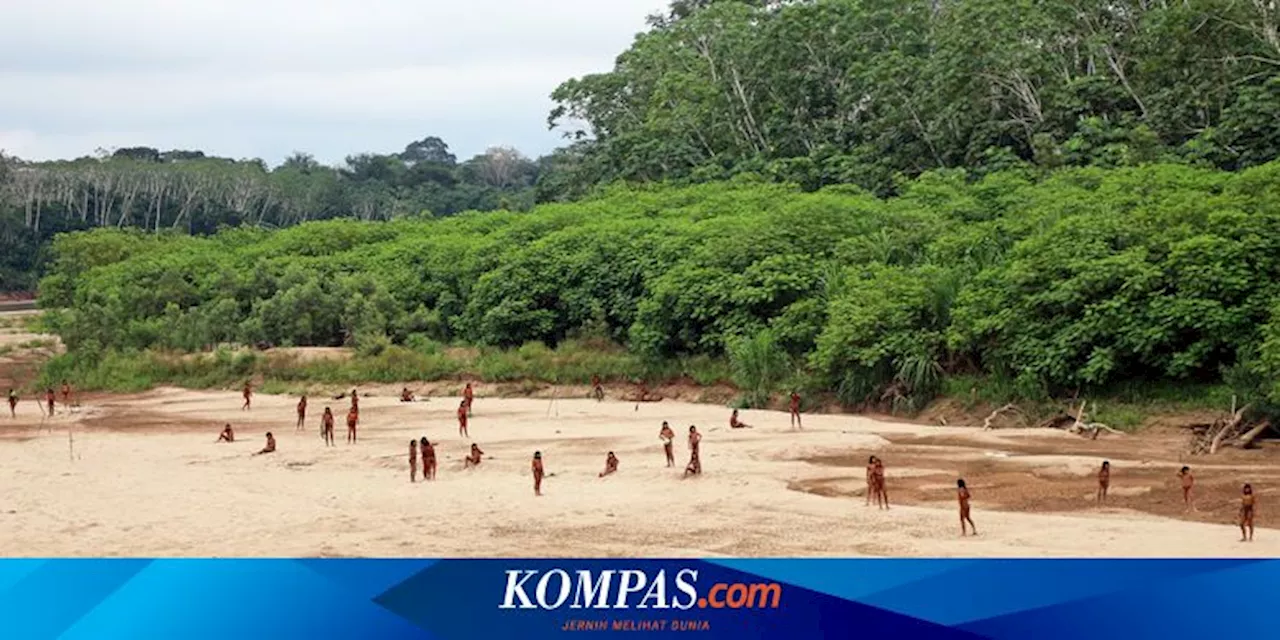 Suku Pedalaman Hutan Amazon Tiba-tiba Keluar, Ada Apa?