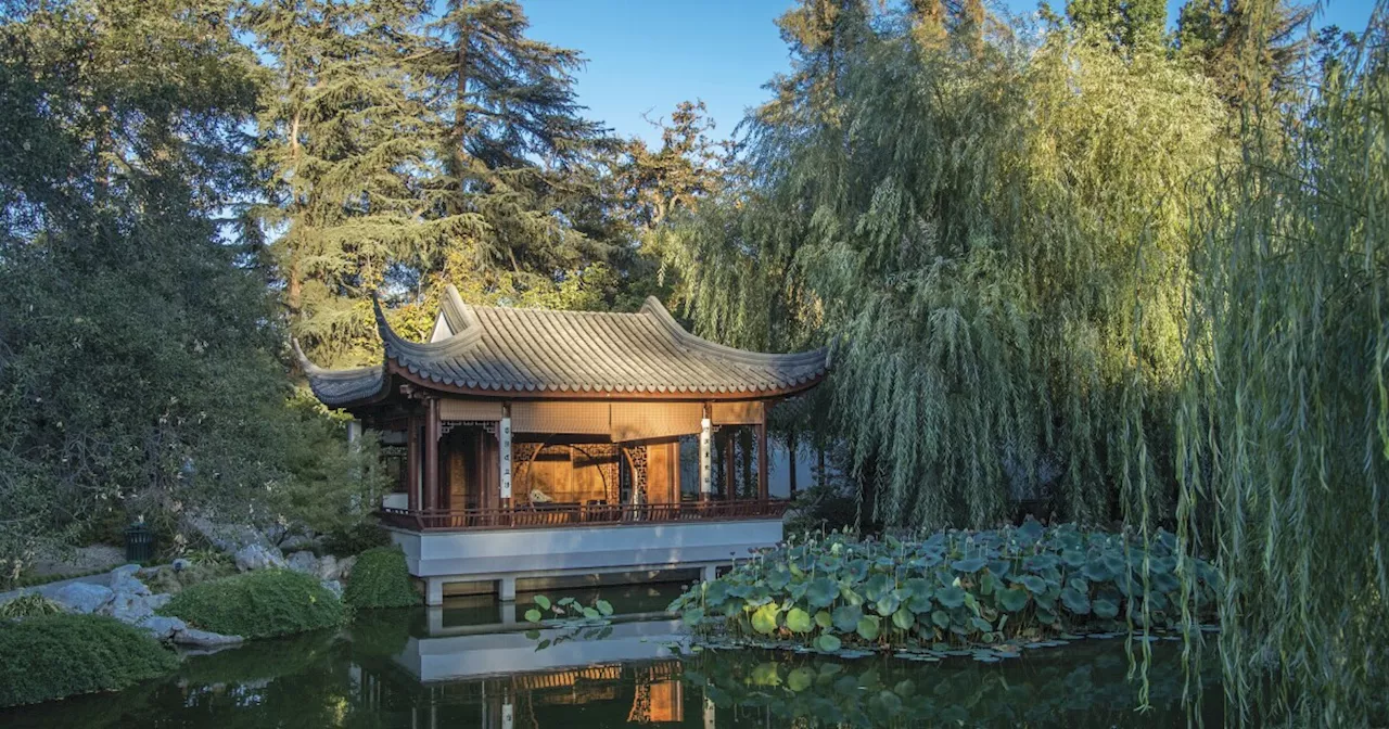 See the Huntington Botanical Gardens in a new light