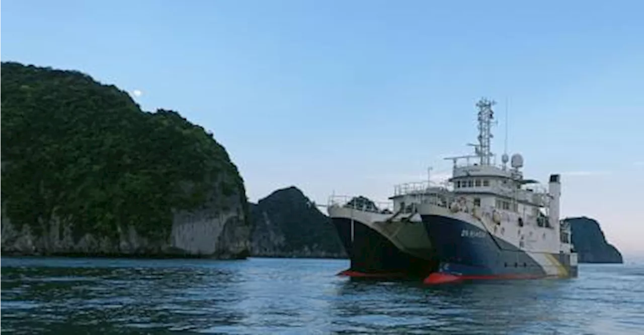 [Terre de Sciences] Plume : voyage à la frontière entre eau douce et eau salée