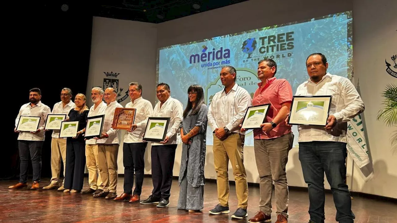 Por tercer año consecutivo, Tlalpan recibe distintivo por cuidar los árboles