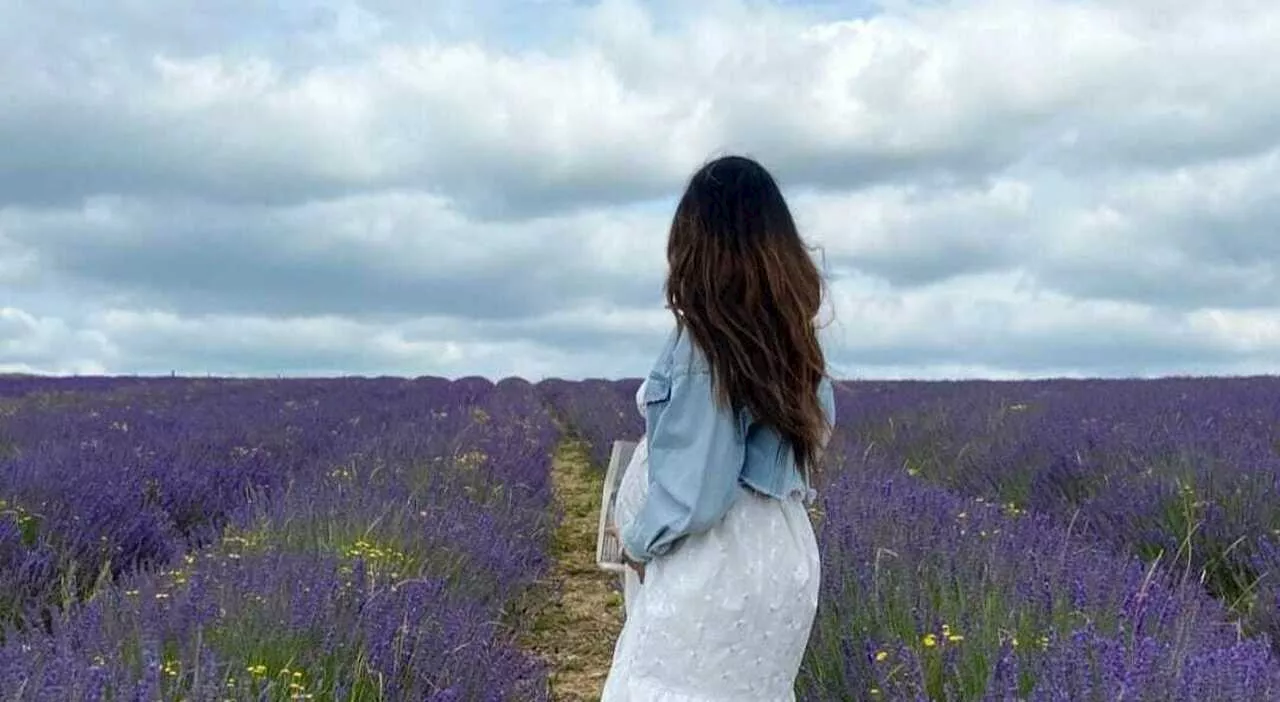 Il resort che non vuole influencer: «Per farsi le foto rovinano le nostre piante di lavanda». L'appello su Fac