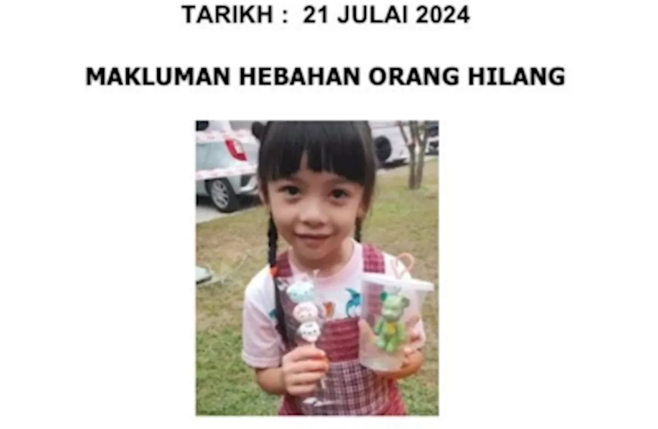 Have you seen this girl? Johor cops seek public help to find six-year-old Albertine Leo missing since 8.30pm Saturday