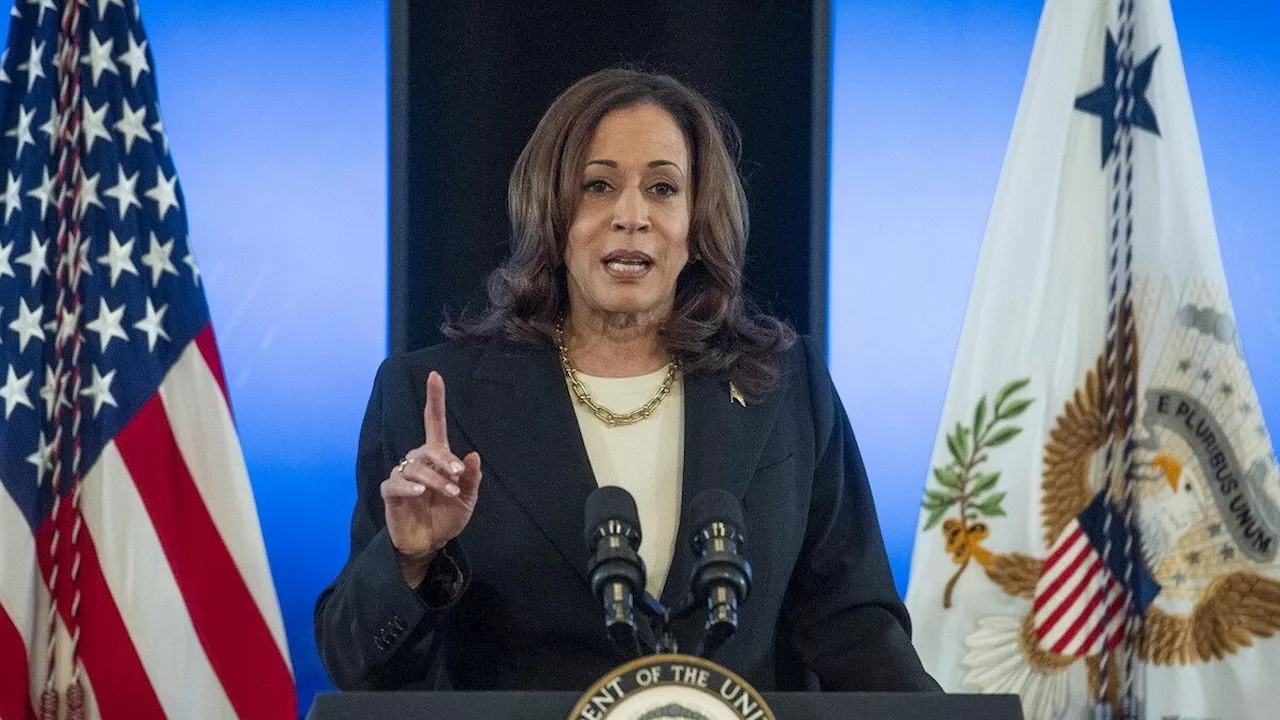 Chi è Kamala Harris, la possibile candidata contro Trump