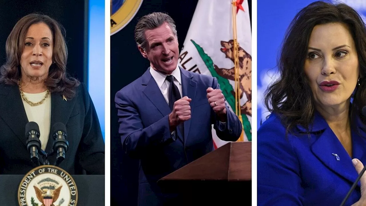 Stati Uniti, Joe Biden si ritira e indica Harris come sostituta, ma la partita resta aperta: i 6 possibili candidati