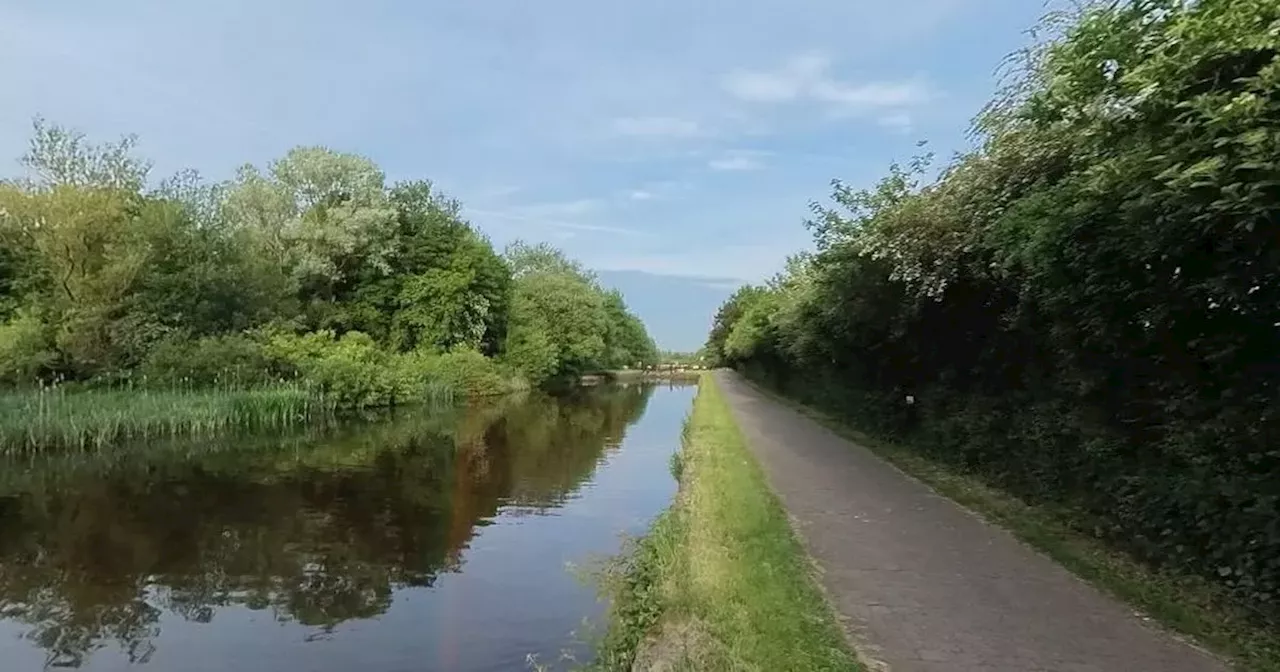 Police appeal after elderly man punched in the head while walking his dog