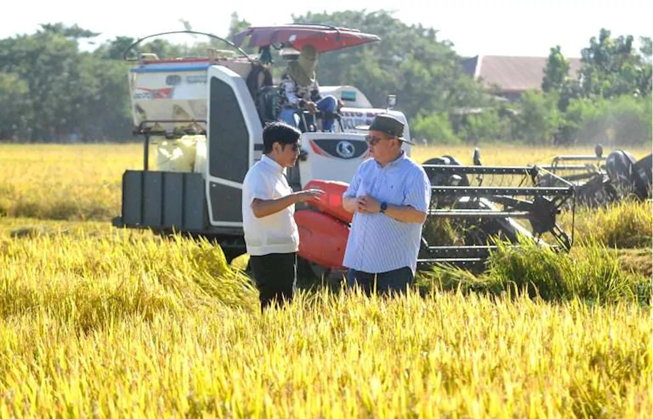 Advancing Agriculture: DA-Bureau of Plant Industry’s Initiatives Driving Food Security in the Philippines