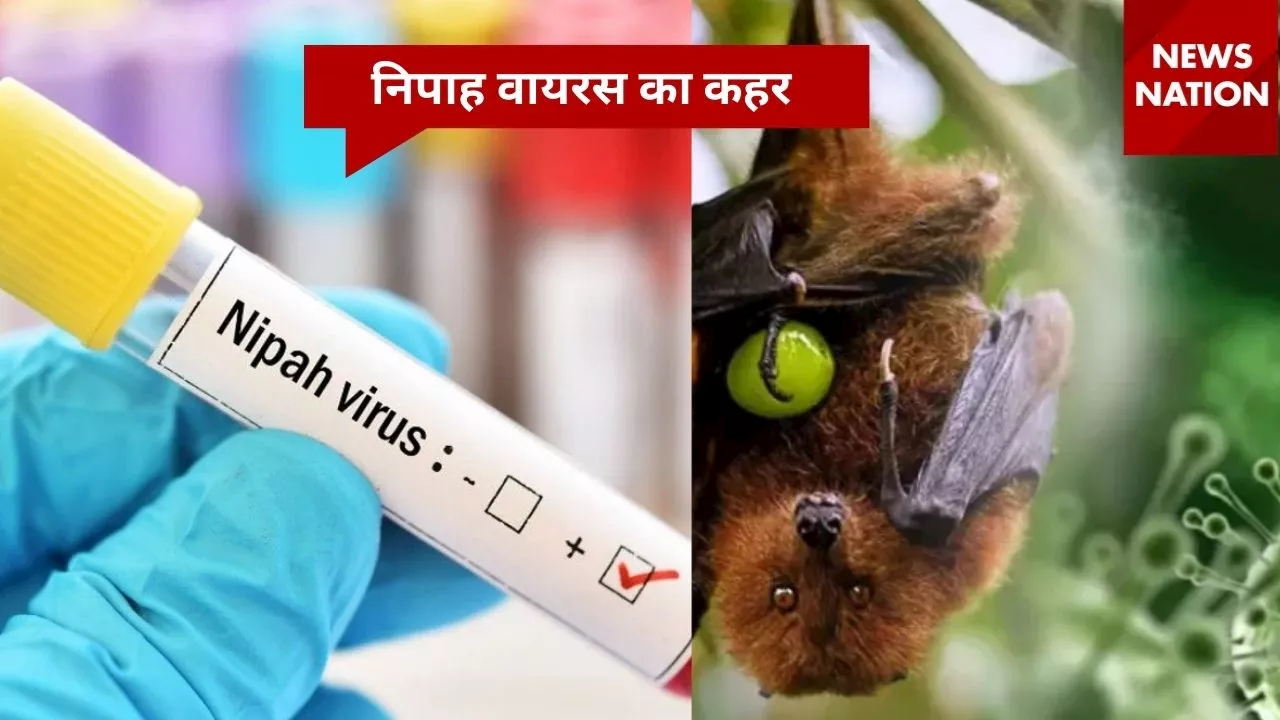 Nipah virus: कहर बरपाने लगा अब ये वायरस, 75% तक लोगों की मौत होने की संभावना, 48 घंटे में कोमा में पहुंच जाता है मरीज